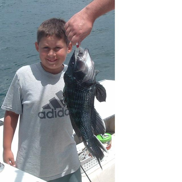 Sea Bass Fishing RI