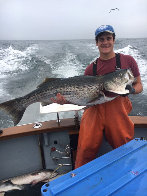 RI Striped Bass Fishing