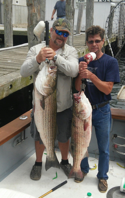 Striped Bass Fishing