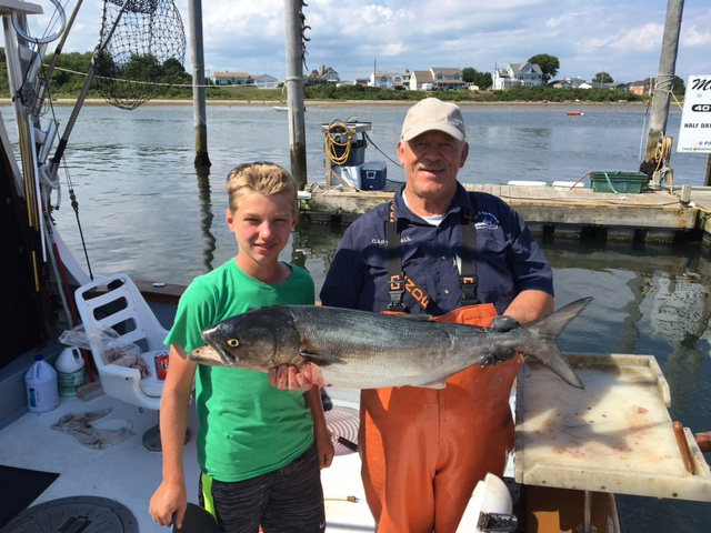 Slammer Bluefish