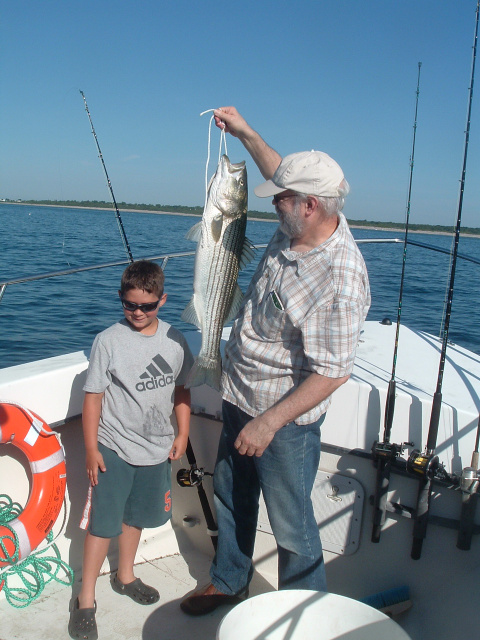 Rhode Island Striped Bass 