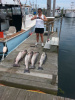 Rhode Island Striper Fishing